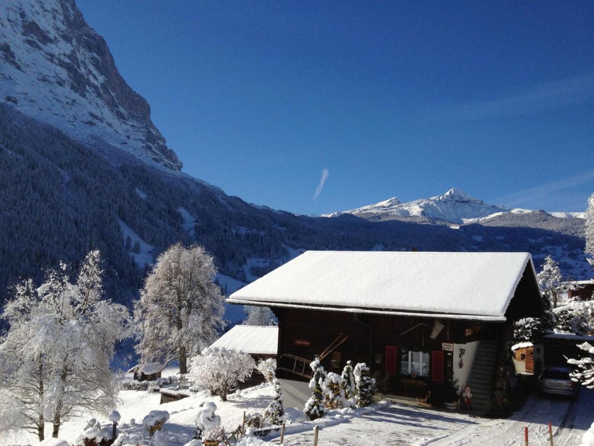 Apartment Chalet Baergsunna-2 By Interhome Grindelwald Exterior foto