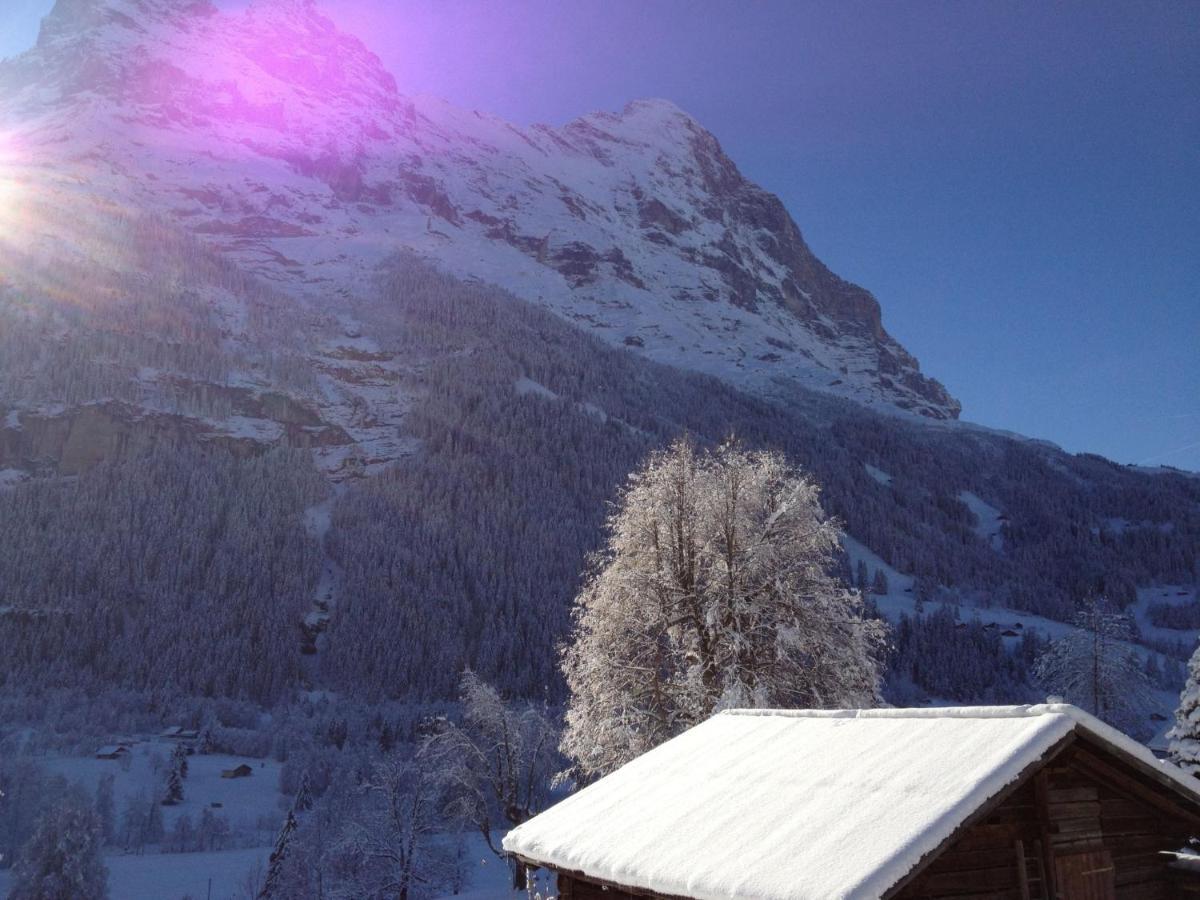 Apartment Chalet Baergsunna-2 By Interhome Grindelwald Exterior foto